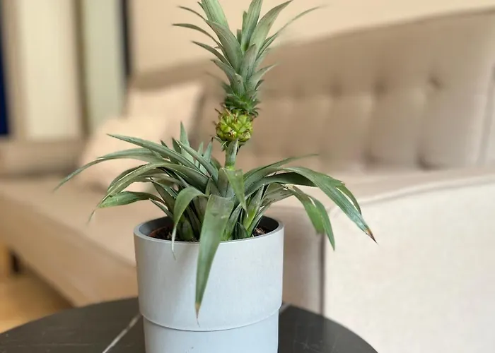 Modern I Cosy & Appart hôtel Coblence