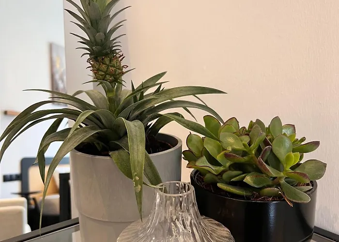 Modern I Cosy & 3* Coblence