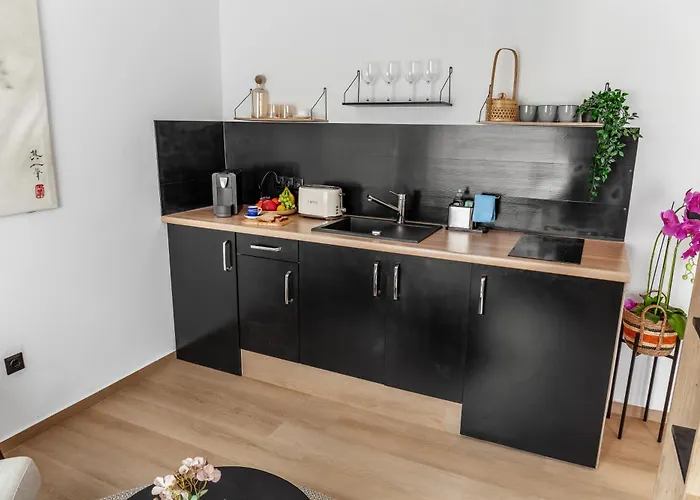 Appart hôtel Modern I Cosy & 3*